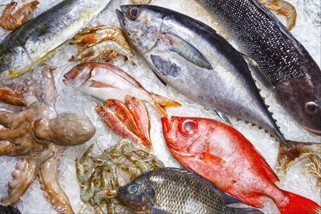 Uzak Durmanız Gereken 9 Çeşit Sağlıksız Balık