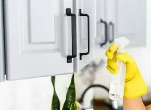 evde kolayca yapabileceğiniz doğal leke çıkarıcı ürünler ve bunların kullanımları